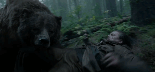 revenant bear attack leonardo dicaprio gif